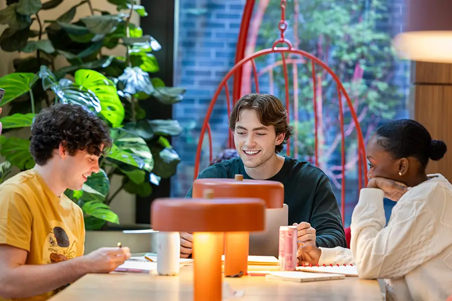 group of friends studying
